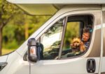 Woman Traveling With Her Dog Inside Camper Van